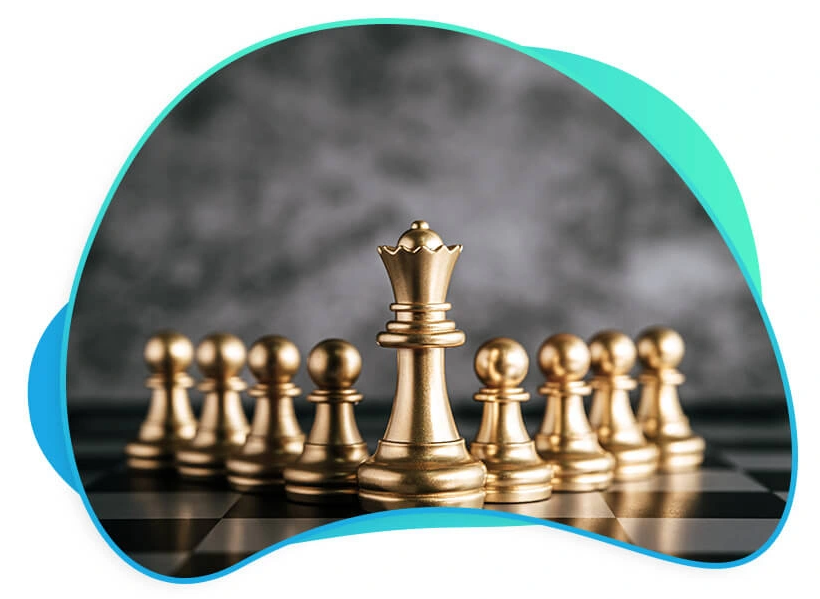 About Websoft Links Company