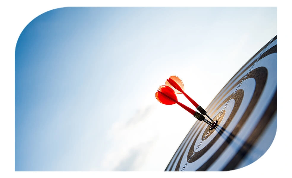 About Websoft Links Company