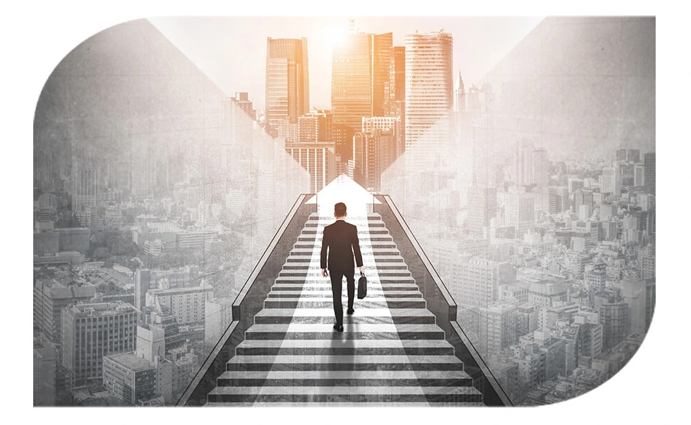 About Websoft Links Company