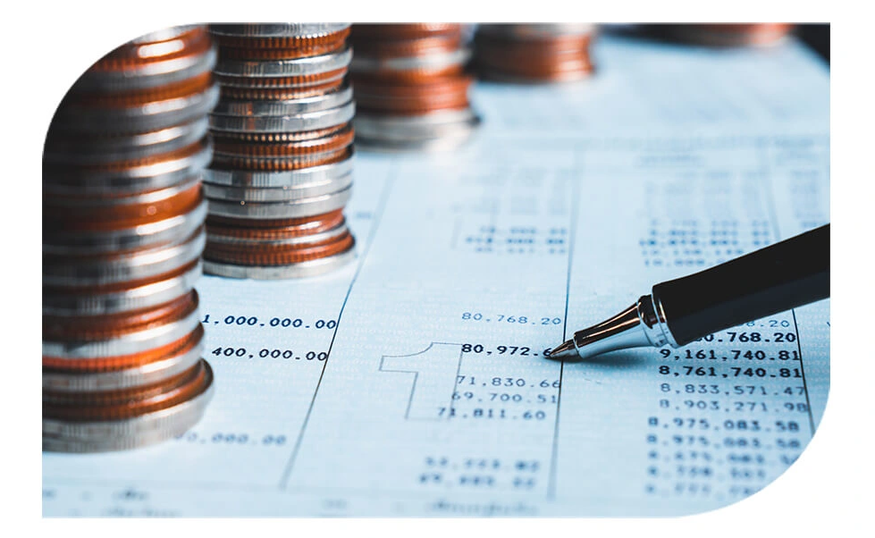 About Websoft Links Company